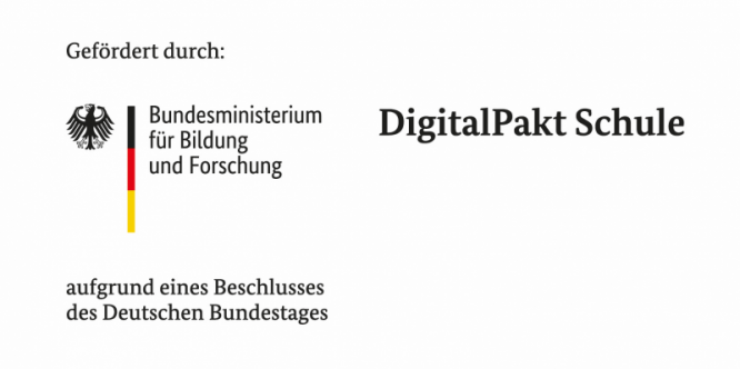 bild.png